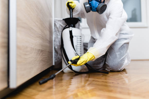 Best Best Pest Control Companies  in Eureka Springs, AR