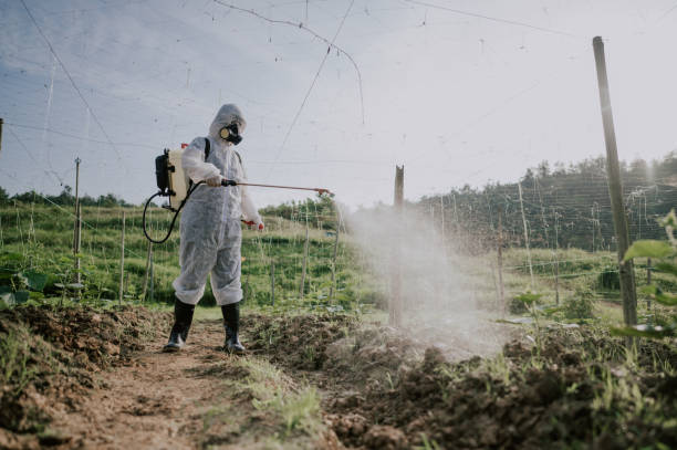 Professional Pest Control in Eureka Springs, AR