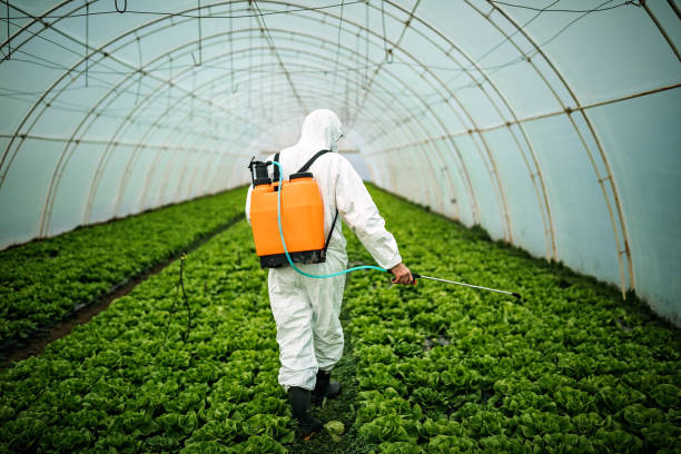 Best Pest Inspection Near Me  in Eureka Springs, AR