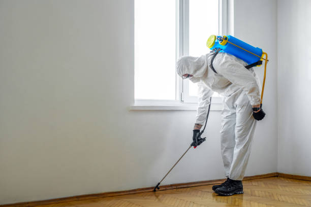 Best Termite Control Services  in Eureka Springs, AR