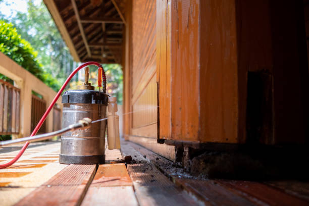 Best Ant Control Services  in Eureka Springs, AR