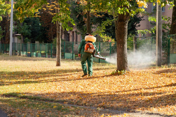 Best Affordable Pest Control Services  in Eureka Springs, AR
