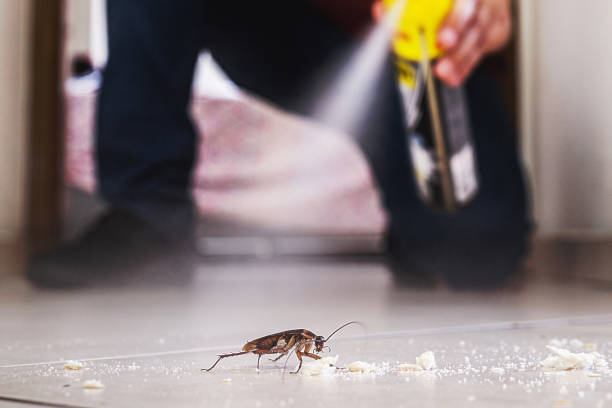 Best Cockroach Control Services  in Eureka Springs, AR