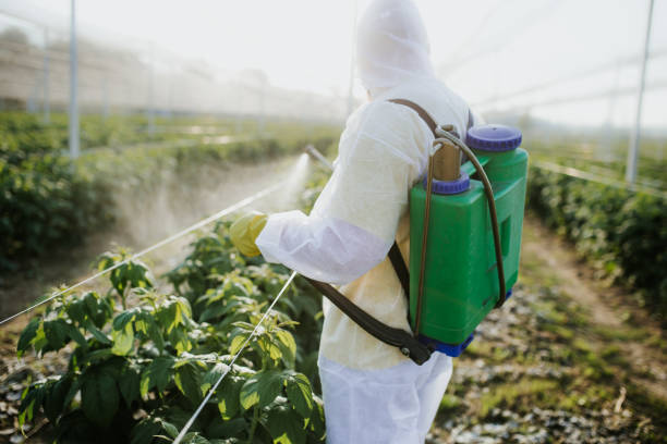 Best Pest Inspection Near Me  in Eureka Springs, AR